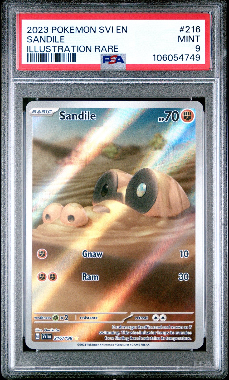 Sandile #216