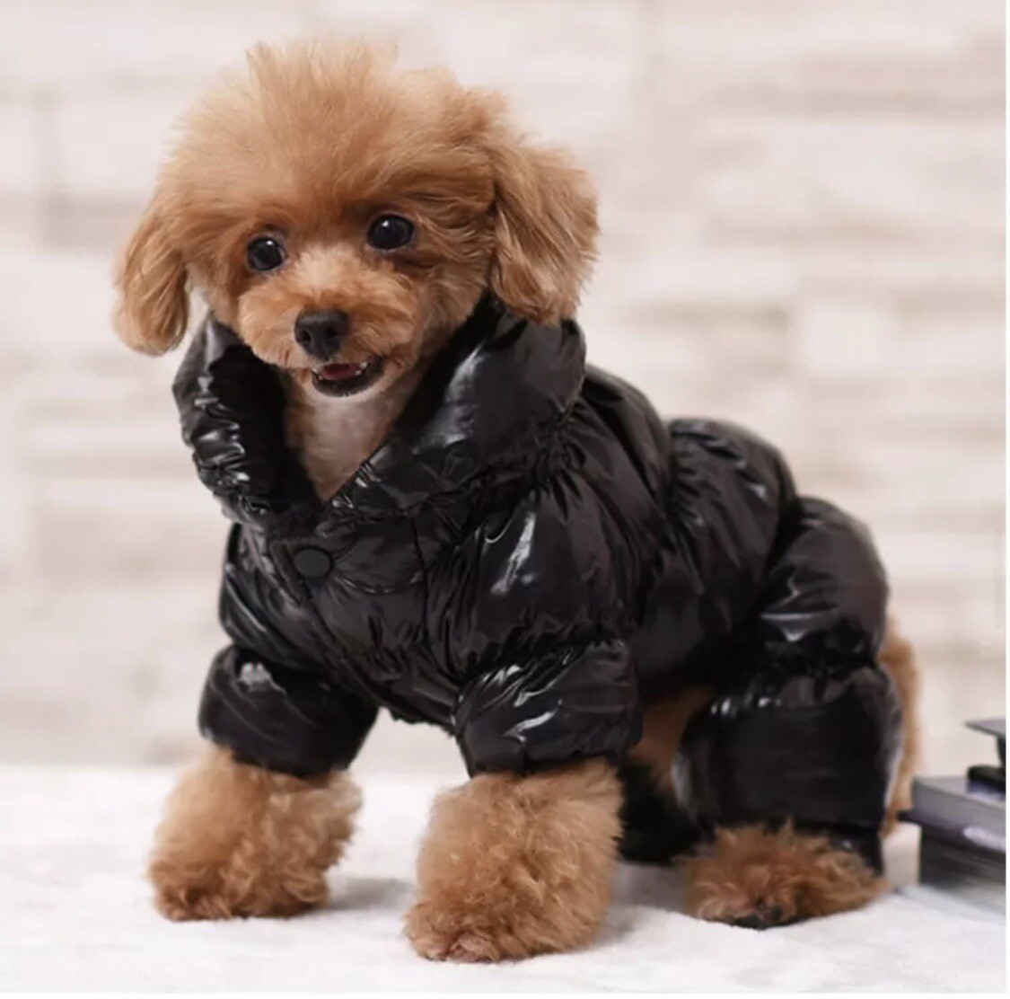 Ropa Abrigo Para Perros