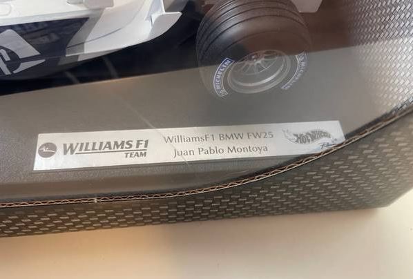 ホットウィール　1/18 ウィリアムズ　モントーヤ　BMW FW25 レトロ Hot Wheels Racing 1:18 Williams F1 BMW FW25 Juan Pablo