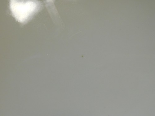 AYNSLEY PEMBROKE COVERED CASSEROLE VEGETABLE BOWL - Picture 4 of 5