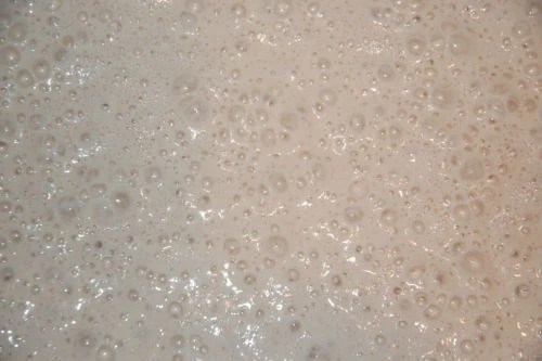 SAN FRANCISCO INICIADOR DE MASA MADRE paquete de mezcla de levadura recetas de sally @fresco/activo Foto 4 de 4