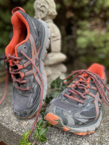 asics terrain