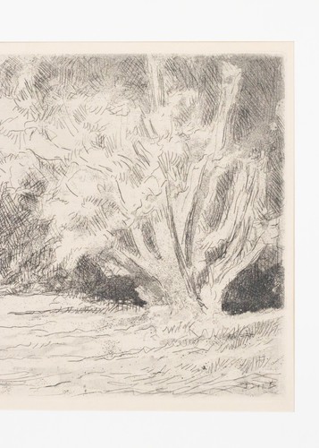 Maximilien LUCE (1858–1941) „Landschaft mit Kühen“ Original Radierung ca 1910 - Bild 7 von 9