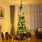 Bild 3 von 8