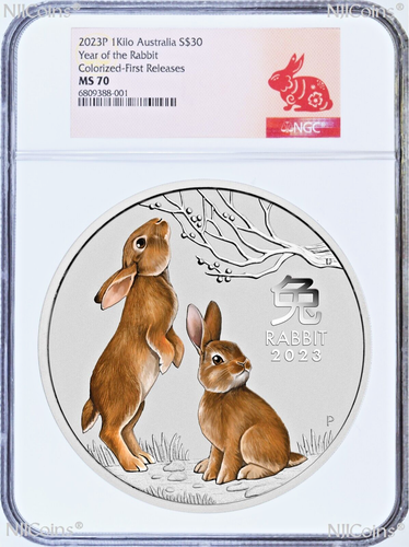 2023 Lunar Year of the RABBIT COLORED Kilo Silver $30 Coin NGC MS70 1st ...
