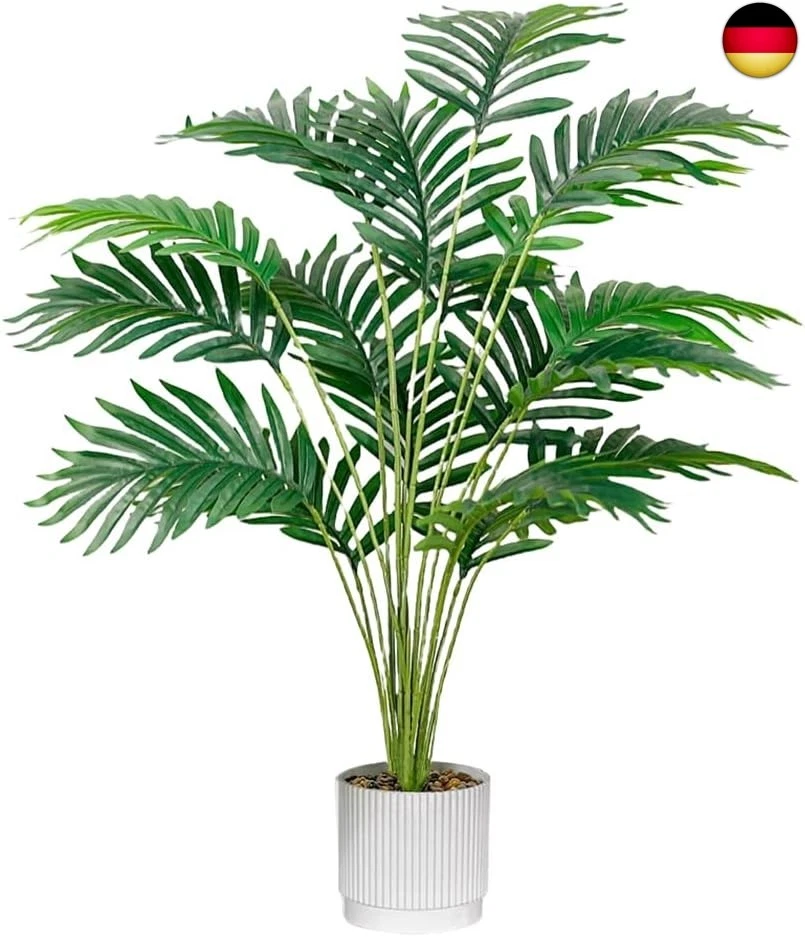 monstera albo plant 2” Monstera deliciosa albo variegated – Canopy Plant Co main image 0