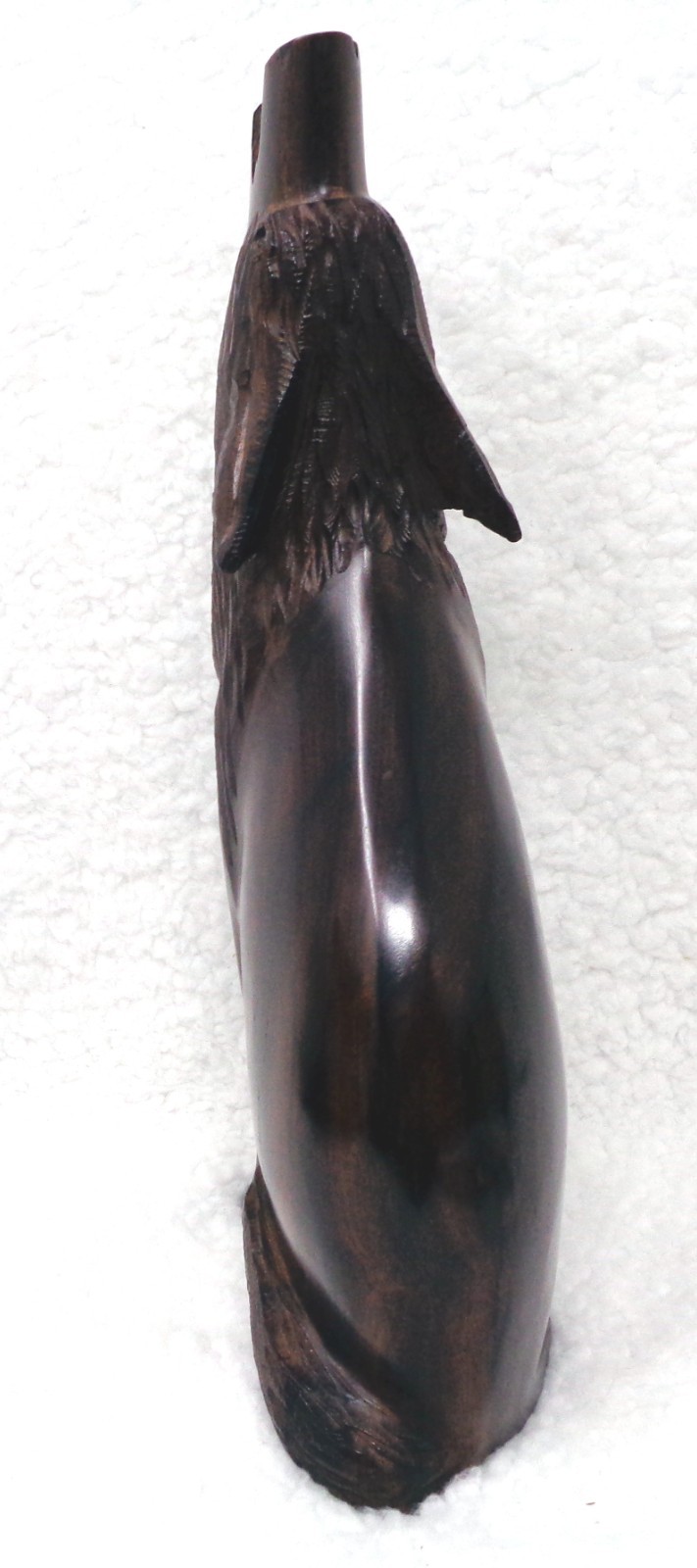 Picture 5 of 7