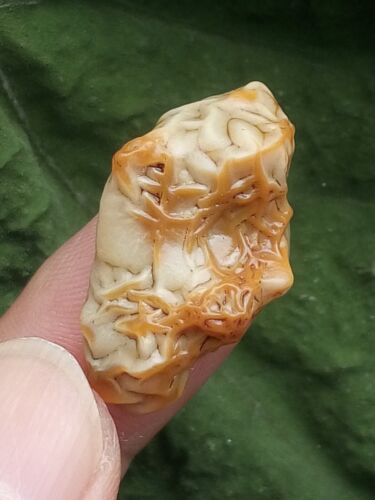 31mm Natural Gobi Agate veins agate/stone,suiseki-viewing collection china - Picture 2 of 12