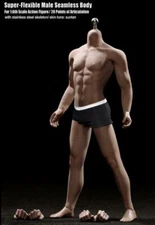 TBLeague PHICEN PL2016-M31 1/6 Seamless Male Narrow Shoulder Muscular Body Steel