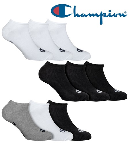 champion trainer socks
