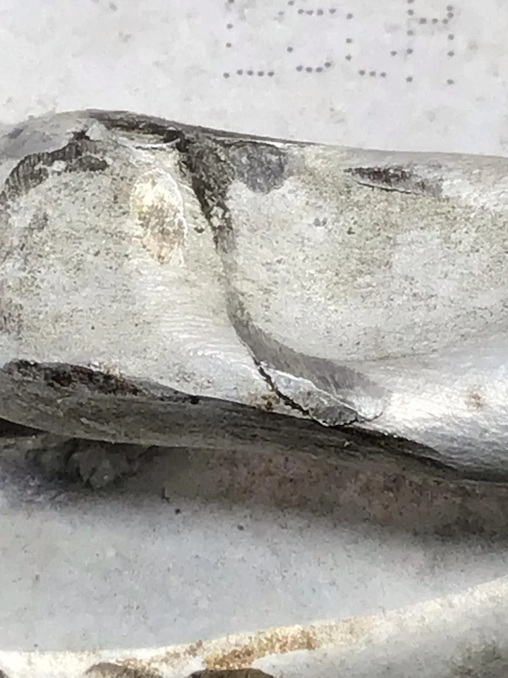 ✅ Enfriador de aceite Toyota Camry 2015 Pn: 224100-1820 OEM Foto 2 de 4