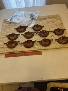 Genuine Shell Cabinet Pulls