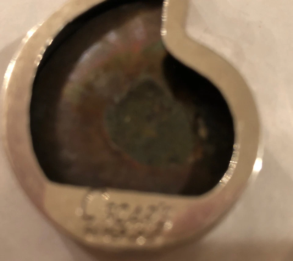 Colgante de amonita de plata de ley ovalado fósil natural grande  Foto 3 de 3