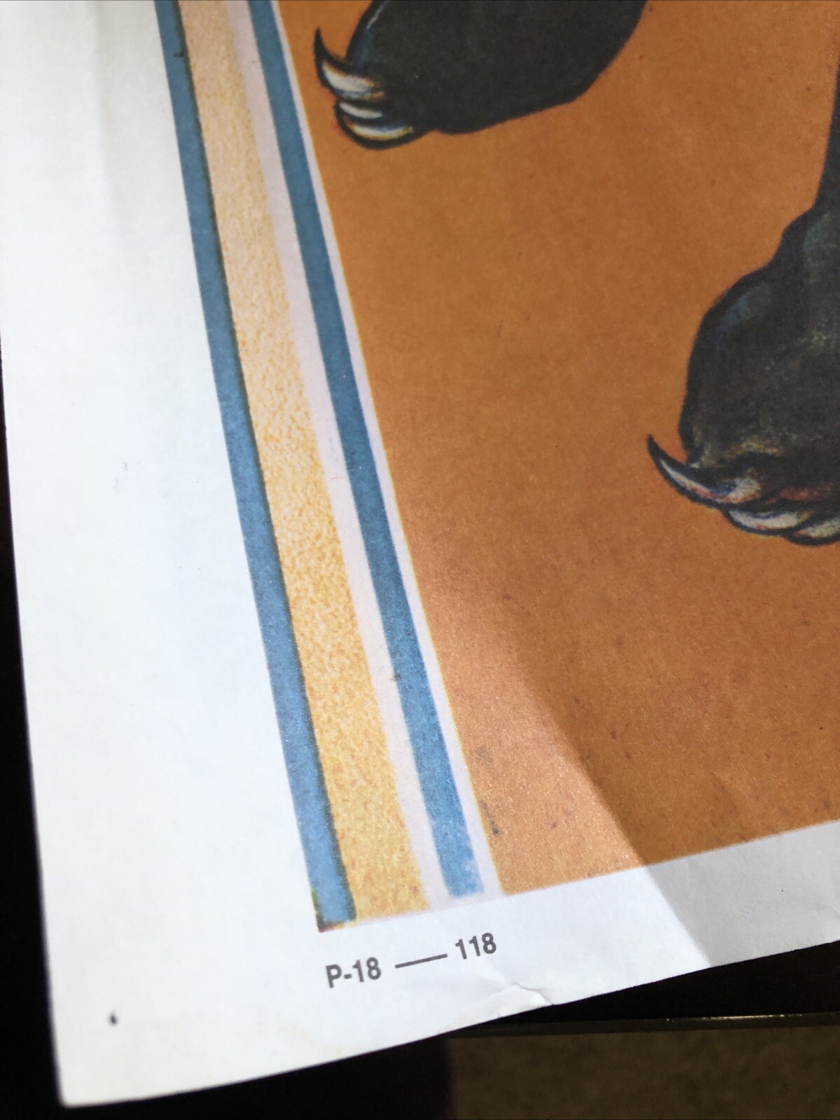 Lot Of Barnum & Bailey  Ringling Brothers 24x36 Inches 7 Posters Some In Frame