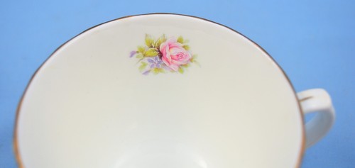 TAZA Y PLATILLO PINTADOS A MANO ROYAL BURLINGTON STAFFORDSHIRE INGLATERRA - Imagen 7 de 8