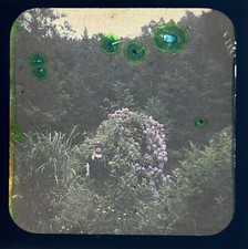 France Côte D’Azur Garden Photo Stereo Autochrome C1910 Vintage CT8Ln1