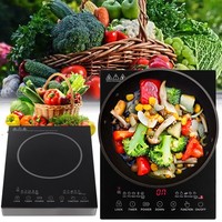 Doppelkochplatte Led Einzel-Kochplatte Herdplatte Kochfeld 3500W