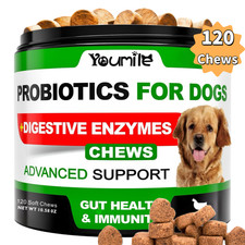 Probiotics for Dogs Chews-Dog Analgland Support-Relieve stomach sensitivity