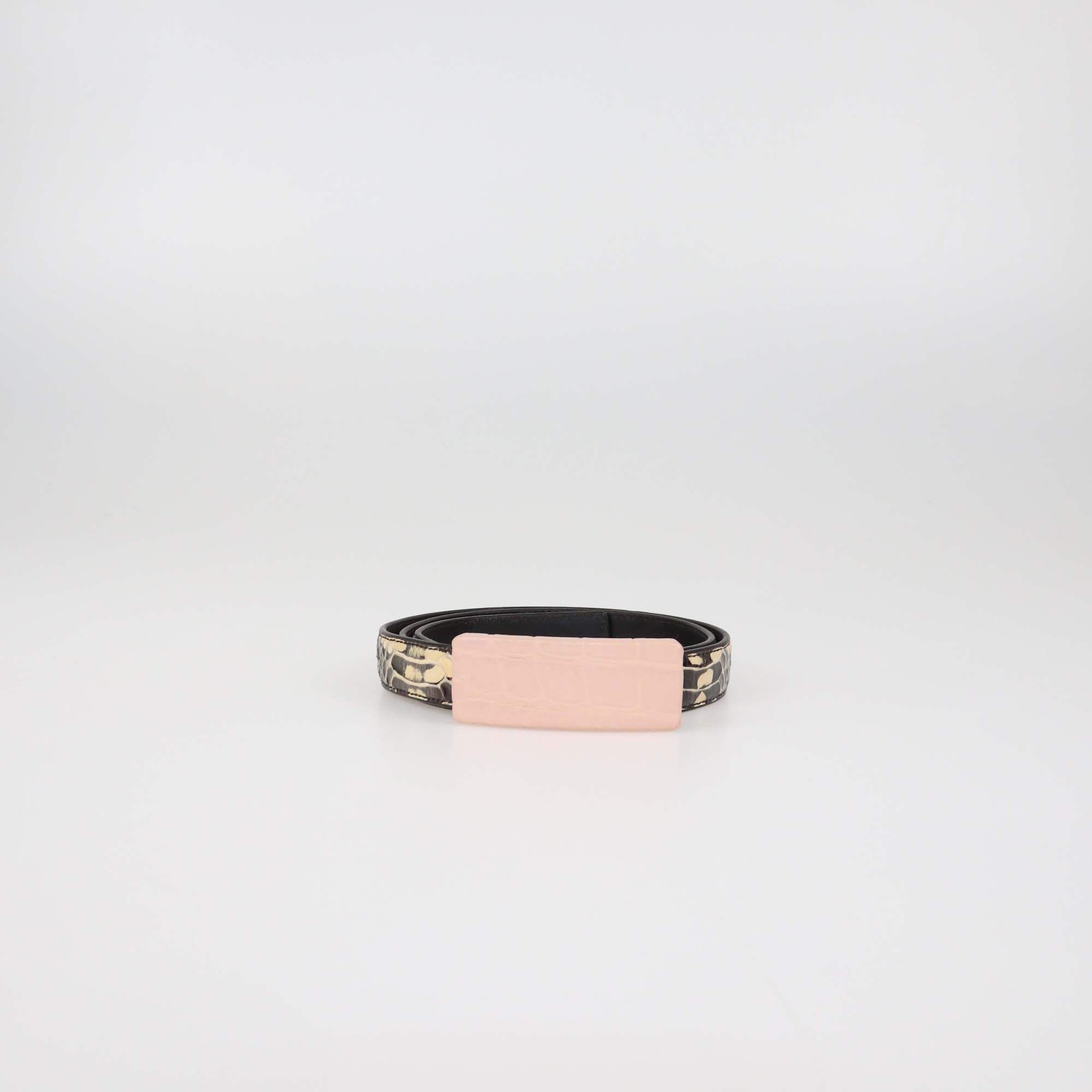 Bottega Veneta Tricolor Python and Alligator Leat… - image 1