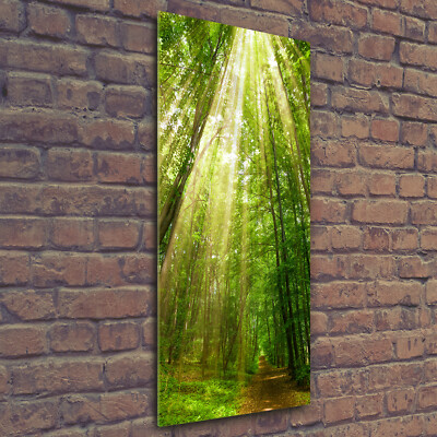 Wandbild Druck auf Plexiglas  Acryl Hochformat 50x125 Pfad im Wald