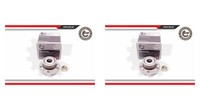 Esen SKV 2X Radnabe Radlagersatz Hinten FüR Renault Espace III Avantime JE0