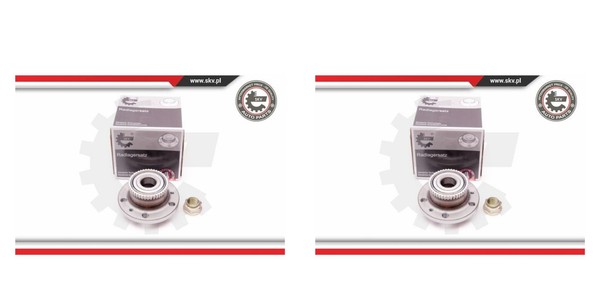 Esen SKV 2X Radnabe Radlagersatz Hinten FüR Renault Espace III Avantime JE0-image