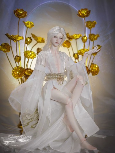 1/4 BJD Doll Resin SD Ball Joint Body Male Boy Ace with Eyes Face Makeup Gift - Picture 5 of 6