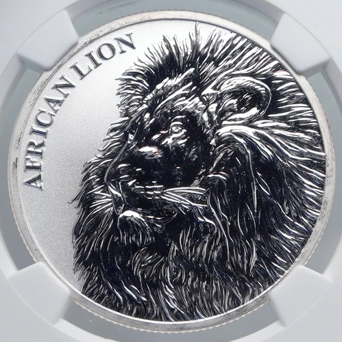 2018 CHAD African ARTISTIC LION Map Antique Silver 5000 Francs Coin NGC i89266