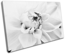 Flower Contemporary Floral SINGLE CANVAS WALL ART Picture Print VA