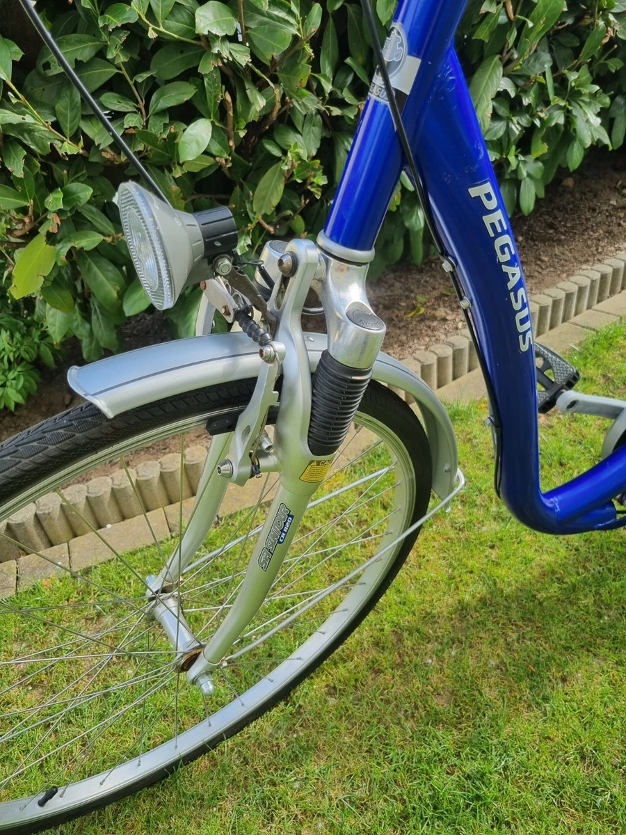 Pegasus Fahrrder mit Rcktrittbremse Damen online kaufen | eBay.de