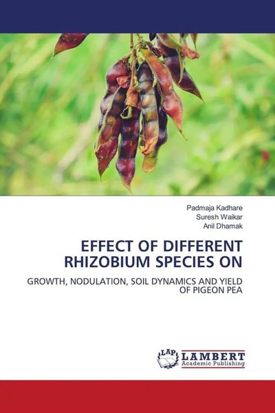 Padmaja Kadhare (U. A.) | Effect OF Different Rhizobium Species ON | Taschenbuch-image