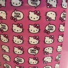 New Hello Kitty Pink Pride 60" x 46" Silky Soft Throw Plush Blanket By Sanrio — photo 3