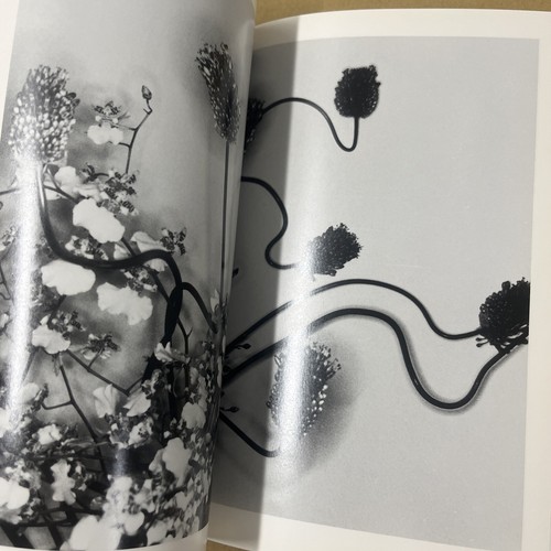 Nobuyoshi Araki "Erotos" mit Obi - Bild 8 von 13