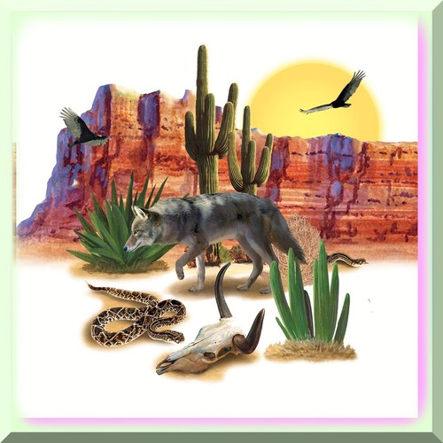 Wild West Desert Dreamscape - Authentic Plastic Photo Backdrops for Western Part - 第 5/7 張圖片