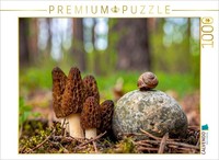 Puzzle Calvendo Cueillette De Champignons - Morilles Et Escargots | 1000 PièCes,