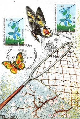 AK - Maximum - Schmetterlinge - XII Sozialausstellung U.F.L. - 1977