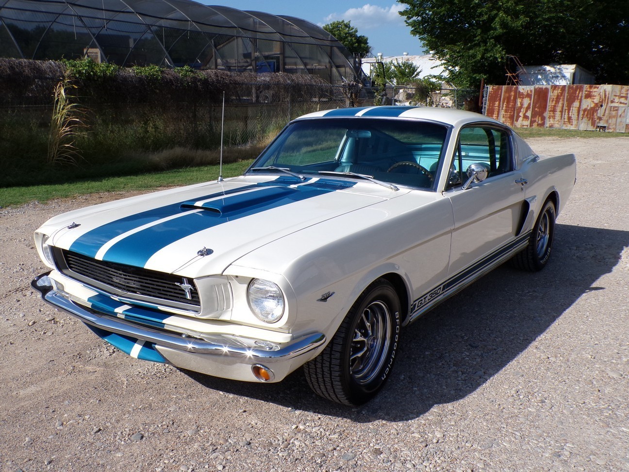 Image of 1966 Ford Mustang