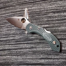 🔥🌲Rare Spyderco Dragonfly 2 ZDP-189 Discontinued British Racing Green 📬