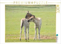 Calvendo Puzzle Foals At Play | 1000 Pieces, Finished Size 25.2 × 18.9 In (64 ×