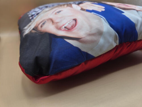 Cojín fotográfico One Direction 2013 1D almohada 13" x 13" usado en excelente estado - Imagen 3 de 20