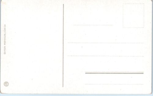 Panoramablick auf Meiringen, Bern, Schweiz Postkarte - Bild 2 von 2