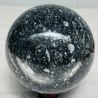 Natural Insectconch fossil crystal Ball Quartz Crystal Sphere Reiki Healing2340G — photo 7