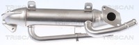 Triscan KüHler AbgasrüCkfüHrung 8813 29324 FüR Audi Skoda VW Superb A4 Passat B5