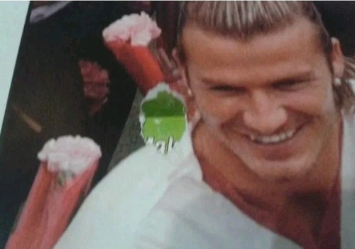 David Beckham Rare Special Biography Magazine Inc Big Poster , Victoria Beckham - Picture 14 of 17