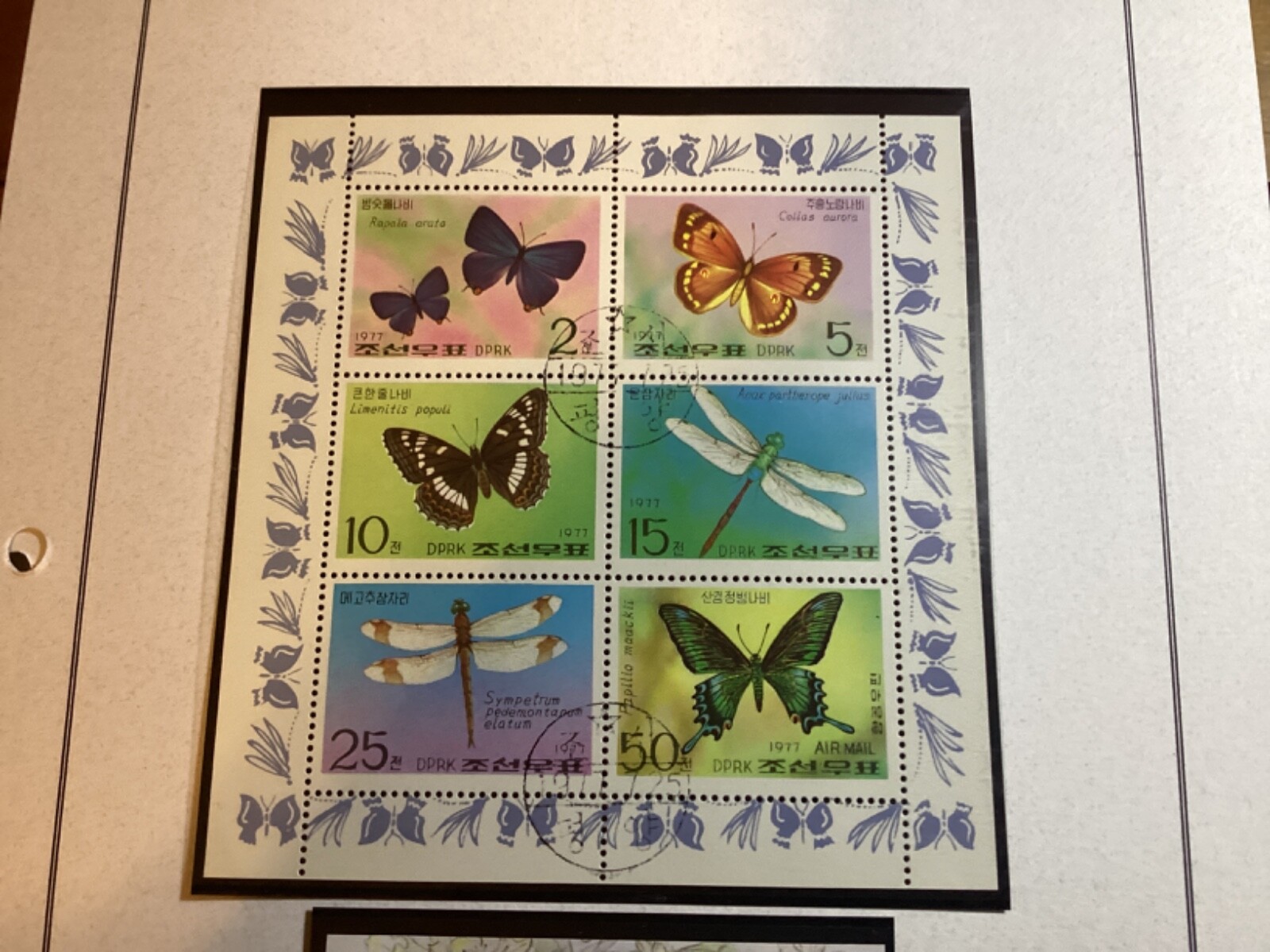 Picture 2