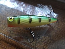 Custom Painted Bass Pro Shops Tourney Special Pop N Splash Popper,Northern Perch