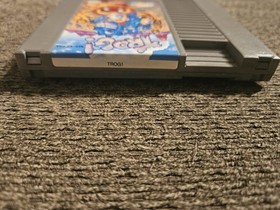 Trog - Nintendo Entertainment System (NES)