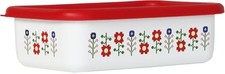 Fuji Enamel Mysa Shallow Square Container, Medium, Red, MY-M.R