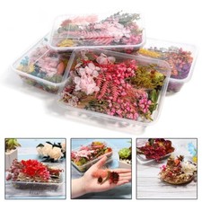 Sch&ouml;ne getrocknete Blumenmischung f&uuml;r Harz Epoxidharz Zum Selbermachen Projekt
