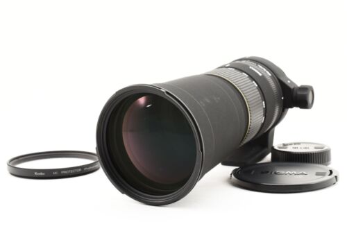 SIGMA AF 170-500mm f/5-6.3 DG APO Lens for Nikon AF Mount Excellent++ from Japan - 第 1/12 張圖片